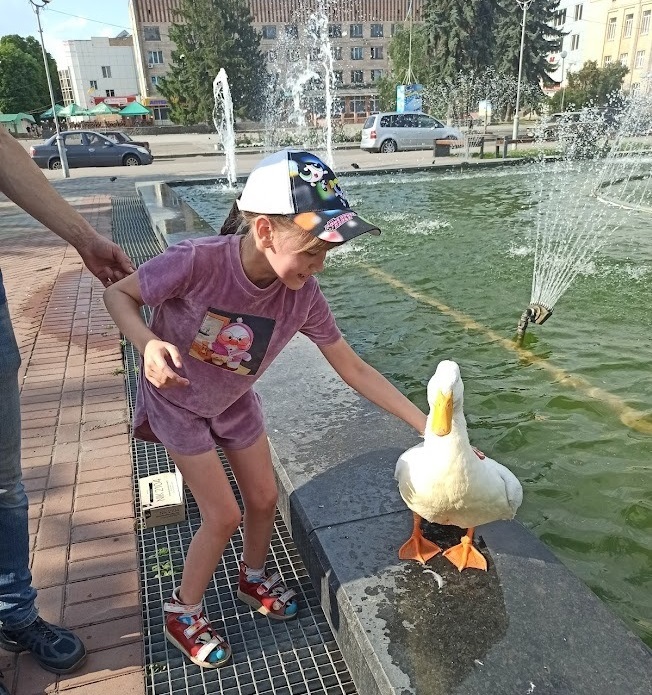 Пуша не боїться дітей і дає себе погладити