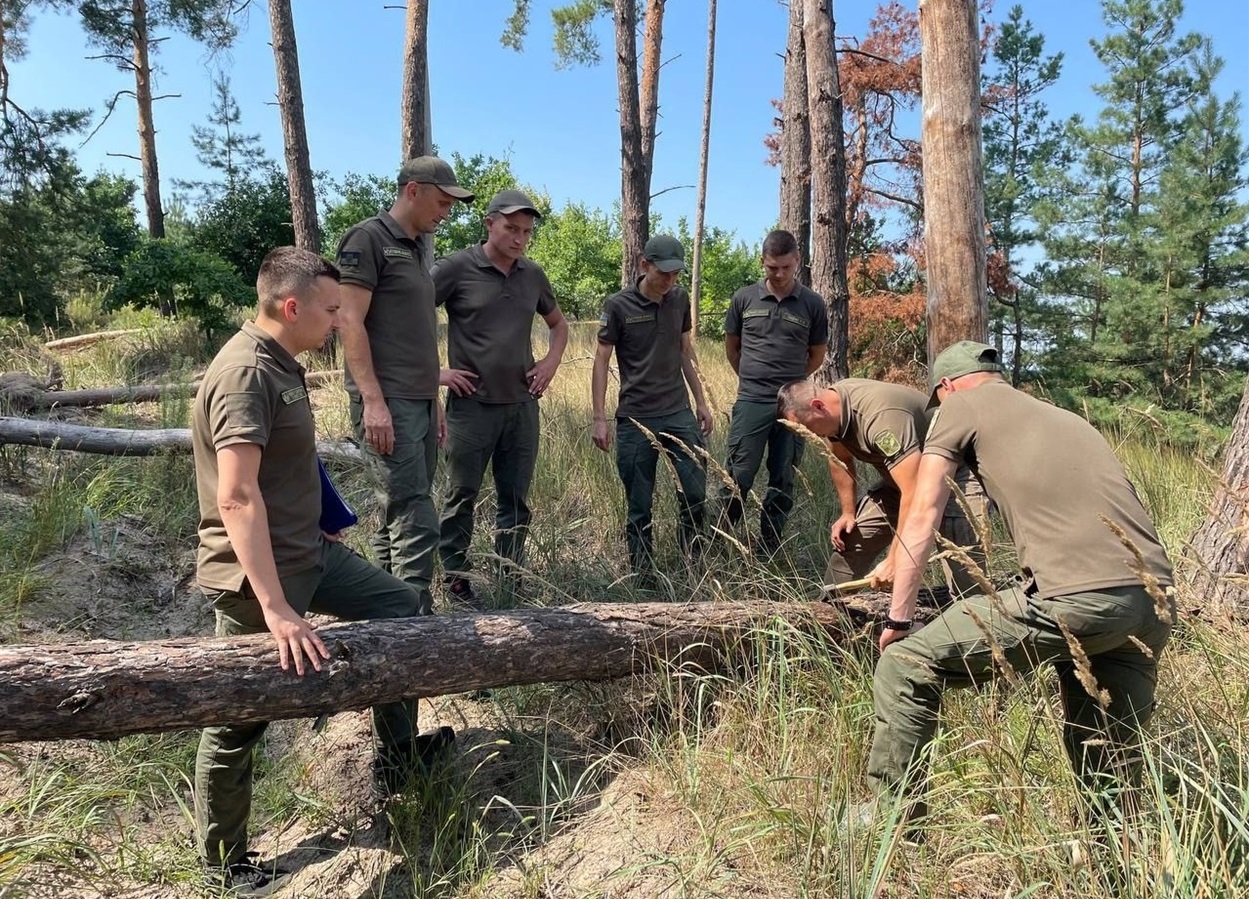 Лісівники оглянули пошкоджені шкідниками хвойні насадження