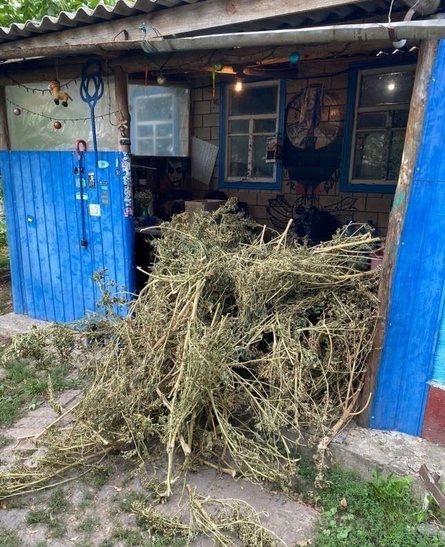 Також знайшли вже висушені коноплі